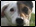 Galaxis - Webkatalog und Suchmaschine